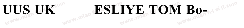 UUS UK楷体 ESLIYE TOM Bo字体转换
